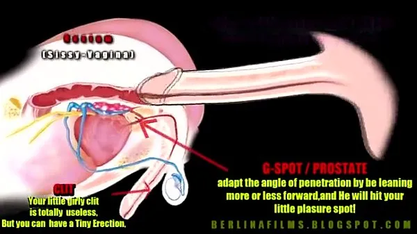 Bedste shemale anatomy bedste videoer