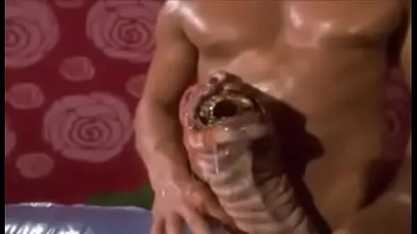 Best Monster Penis WTF best Videos