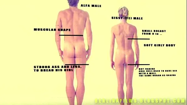 Meilleures Aanatomy Trans (Une sorte de sissy-formateur meilleures vidéos